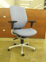 Executive/Task Chair HON Resolution task chair